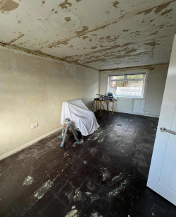 renovation work in progress